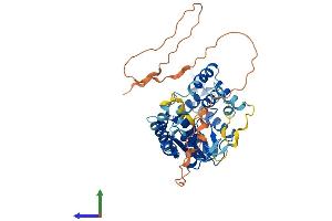 AlphaFold protein structure predicition of Mouse Recombinant Ctu1 Protein, UniprotID Q99J10