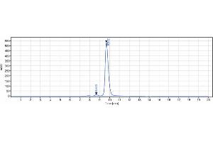 anti-TNFRSF9 (Urelumab Biosimilar) antibody