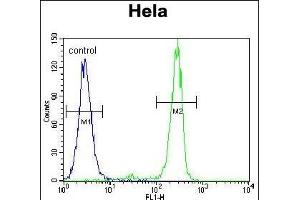 MED7 Antibody (Center) (ABIN655901 and ABIN2845301) flow cytometric analysis of Hela cells (right histogram) compared to a negative control cell (left histogram). (MED7 anticorps  (AA 83-111))