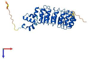 AlphaFold protein structure predicition of Mouse Recombinant Fbxl15 Protein, UniprotID Q91W61