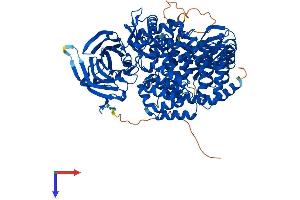 AlphaFold protein structure predicition of Mouse Recombinant Erap1 Protein, UniprotID Q9EQH2
