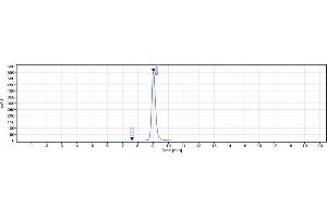 The purity of Anti-B7-H3 / CD276 Reference Antibody (enoblituzumab) is 98. (Recombinant B7-H3 (Enoblituzumab Biosimilar) anticorps)