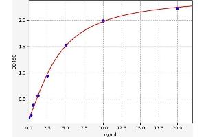 Typical standard curve (DNAJB8 Kit ELISA)