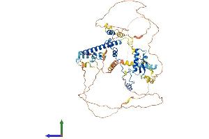 AlphaFold protein structure predicition of Mouse Recombinant Rad21 Protein, UniprotID Q61550