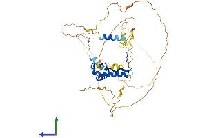 AlphaFold protein structure predicition of Human Recombinant SOX7 Protein, UniprotID Q9BT81