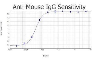 ELISA results of purified Goat anti-Mouse IgG Antibody Biotin Conjugated tested against purified Mouse IgG. (Chèvre anti-Souris IgG (Heavy & Light Chain) Anticorps (Biotin) - Preadsorbed)