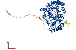 AlphaFold protein structure predicition of Human Recombinant KCNAB2 Protein, UniprotID Q13303