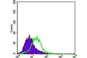 Flow cytometric analysis of PACN-1 cells using KRT15 mouse mAb (green) and negative control (purple).