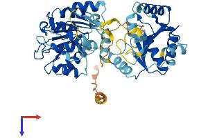 AlphaFold protein structure predicition of Human Recombinant DDX19B Protein, UniprotID Q9UMR2