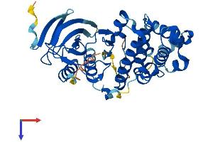 AlphaFold protein structure predicition of Human Recombinant MAPK12 Protein, UniprotID P53778