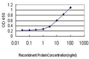 Detection limit for recombinant GST tagged ALDOB is approximately 0. (ALDOB anticorps  (AA 1-316))