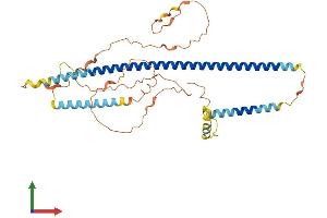 AlphaFold protein structure predicition of Human Recombinant CCDC188 Protein, UniprotID H7C350 (CCDC188 (AA 1-402) protein (His tag))