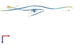 AlphaFold protein structure predicition of Human Recombinant SLMAP Protein, UniprotID Q14BN4