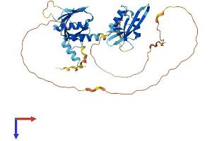 AlphaFold protein structure predicition of Human Recombinant STAP2 Protein, UniprotID Q9UGK3