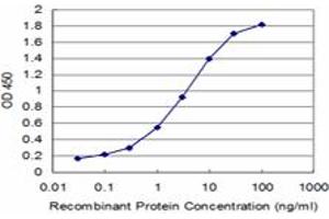 Detection limit for recombinant GST tagged KAL1 is approximately 0. (KAL1 anticorps  (AA 548-657))
