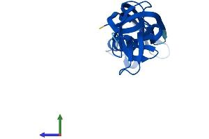 AlphaFold protein structure predicition of Human Recombinant POLR2G Protein, UniprotID P62487