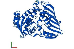 AlphaFold protein structure predicition of Mouse Recombinant Dhdh Protein, UniprotID Q9DBB8