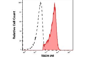 Separation of TRIM positive CD3 positive human lymphocytes (red-filled) from neutrophil granulocytes (black-dashed) in flow cytometry analysis (intracellular staining) of human peripheral whole blood stained using anti-TRIM (TRIM-04) PE antibody (concentration in sample 1 μg/mL).