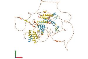 AlphaFold protein structure predicition of Human Recombinant HIC1 Protein, UniprotID Q14526