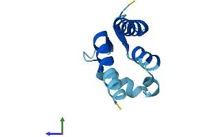AlphaFold protein structure predicition of Human Recombinant S100A6 Protein, UniprotID P06703
