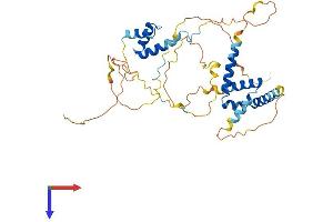 AlphaFold protein structure predicition of Mouse Recombinant Cuedc1 Protein, UniprotID Q8R3V6