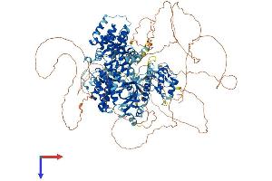 AlphaFold protein structure predicition of Mouse Recombinant Alpk1 Protein, UniprotID Q9CXB8