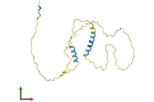 AlphaFold protein structure predicition of Mouse Recombinant Bad Protein, UniprotID Q61337