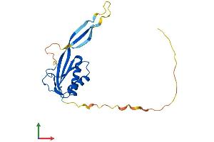 AlphaFold protein structure predicition of Human Recombinant RPP25 Protein, UniprotID Q9BUL9