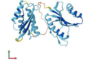AlphaFold protein structure predicition of Human Recombinant RWDD3 Protein, UniprotID Q9Y3V2