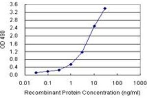 Sandwich ELISA detection sensitivity ranging from 0. (SPP1 (Humain) Matched Antibody Pair)