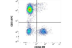 Flow cytometry multicolor surface staining of human peripheral whole blood stained using anti-human CD56 (LT56) PE antibody (10 μL reagent / 100 μL of peripheral whole blood) and anti-human CD3 (UCHT1) APC antibody (10 μL reagent / 100 μL of peripheral whole blood). (CD56 anticorps  (PE))