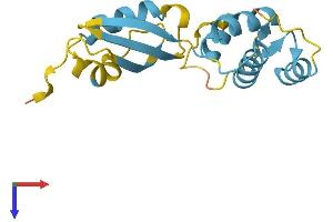 AlphaFold protein structure predicition of Human Recombinant RPL12 Protein, UniprotID P30050