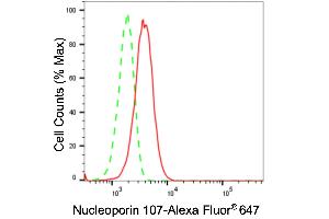 Flow cytometric analysis of Nucleoporin 107 expression in HeLa cells using Nucleoporin 107 antibody (ABIN7799674), 1:2,000). (Recombinant NUP107 anticorps)