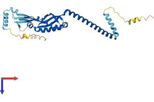 AlphaFold protein structure predicition of Human Recombinant STOM Protein, UniprotID P27105