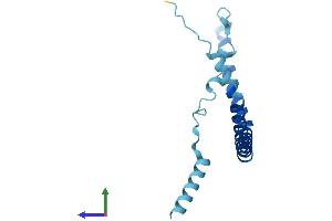 AlphaFold protein structure predicition of Human Recombinant CAV3 Protein, UniprotID P56539