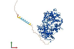 AlphaFold protein structure predicition of Mouse Recombinant Mmel1 Protein, UniprotID Q9JLI3