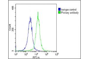 Overlay histogram showing HeLa cells stained with (ABIN6243398 and ABIN6578829)(green line).