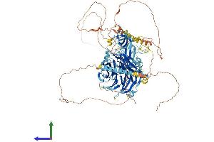 AlphaFold protein structure predicition of Mouse Recombinant Ahi1 Protein, UniprotID Q8K3E5