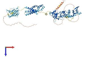 AlphaFold protein structure predicition of Mouse Recombinant Cnnm4 Protein, UniprotID Q69ZF7