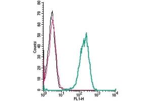 Cell surface detection of TSH Receptor by indirect flow cytometry in live intact human THP-1 monocytic leukemia cells: (black line) Cells.