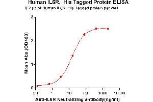 ELISA plate pre-coated by 2 μg/mL (100 μL/well) Human IL6R, His tagged protein (ABIN6964085, ABIN7042425 and ABIN7042426) can bind Anti-IL6R Neutralizing antibody ABIN7093060 and ABIN7272590 in a linear range of 0.