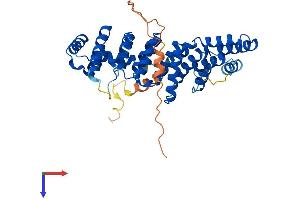 AlphaFold protein structure predicition of Human Recombinant PTCD2 Protein, UniprotID Q8WV60