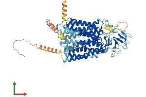 AlphaFold protein structure predicition of Mouse Recombinant Slco1a5 Protein, UniprotID Q91YY5 (SLCO1A5 Protein (AA 1-670) (His tag))