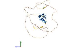 AlphaFold protein structure predicition of Mouse Recombinant Runx3 Protein, UniprotID Q64131