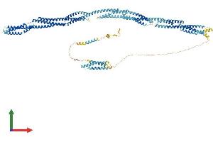 AlphaFold protein structure predicition of Human Recombinant SYNE3 Protein, UniprotID Q6ZMZ3