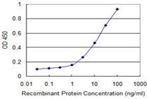 Detection limit for recombinant GST tagged FOS is 0. (c-FOS anticorps  (AA 1-380))