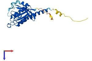AlphaFold protein structure predicition of Mouse Recombinant Rit1 Protein, UniprotID P70426