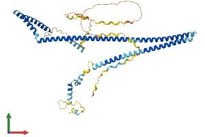 AlphaFold protein structure predicition of Human Recombinant PDCD7 Protein, UniprotID Q8N8D1