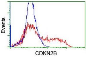 HEK293T cells transfected with either RC204895 overexpress plasmid (Red) or empty vector control plasmid (Blue) were immunostained by anti-CDKN2B antibody (ABIN2455956), and then analyzed by flow cytometry. (CDKN2B anticorps)