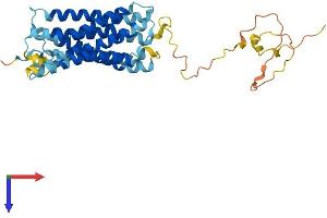 AlphaFold protein structure predicition of Human Recombinant GPRC5A Protein, UniprotID Q8NFJ5